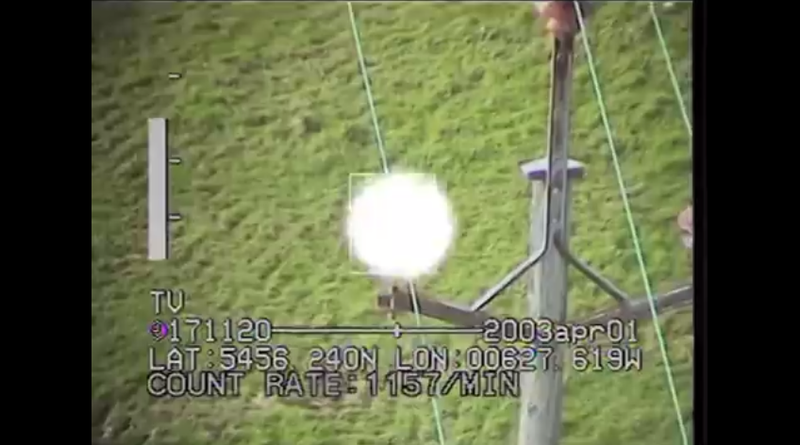 Illustration for article titled Most animals can see the flashing and glowing of power lines